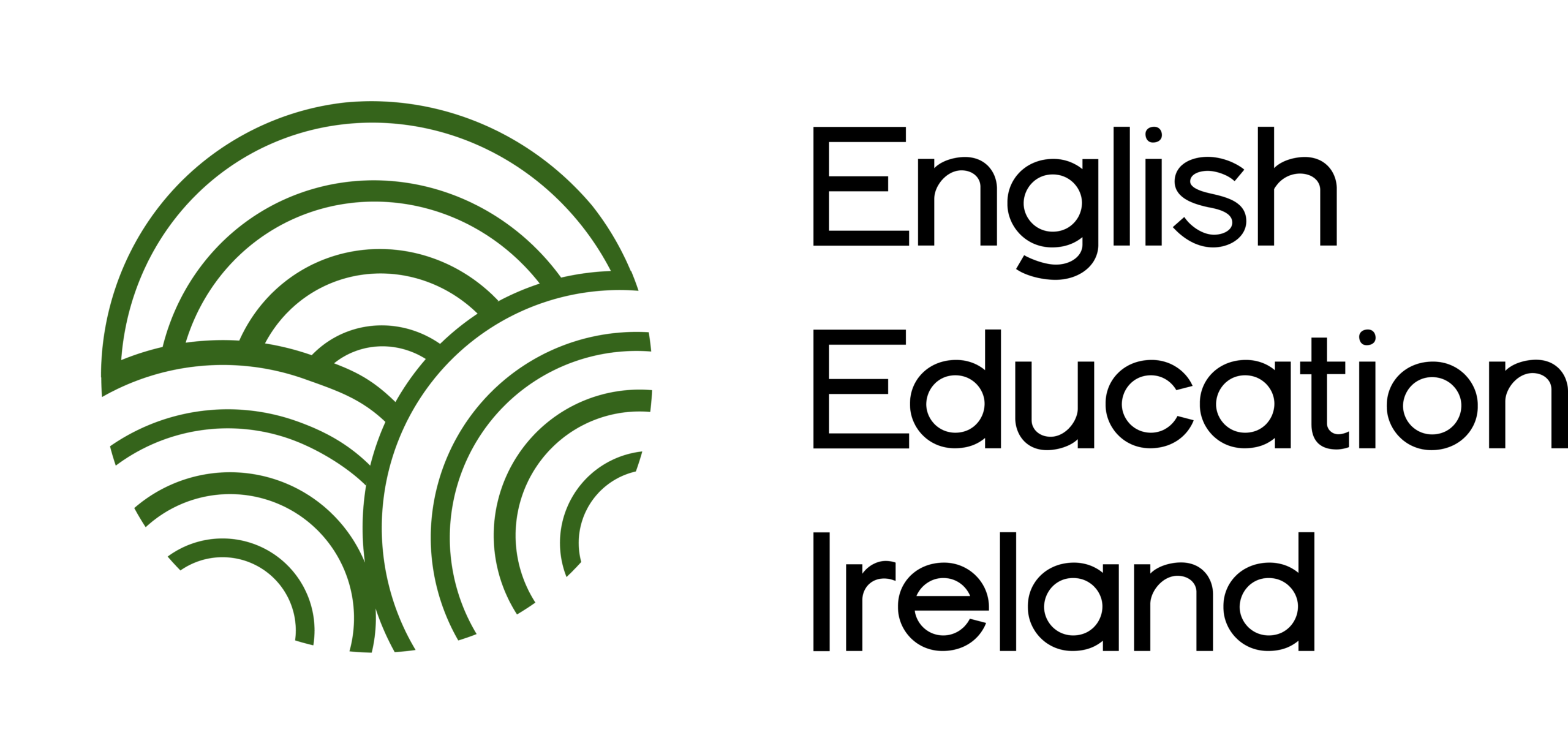 English Education Ireland — organización del equipo en Irlanda